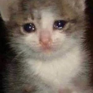 Meet your Posher, Shae